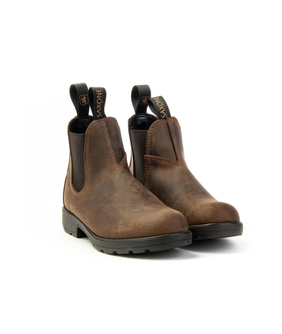 Unisex SAXONE | Saxone Upland Chelsea Boot Man Woman Testa Di Moro