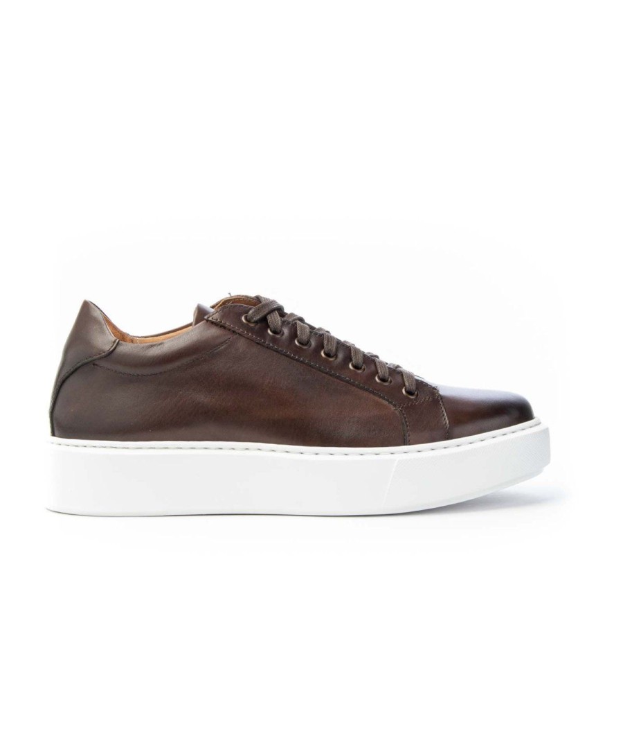 Uomo J.HOLL | J. Holl Isaia Sneaker Lacci Leone Shoes Made In Italy Cioccolato