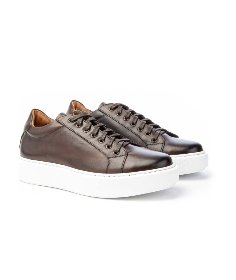 Uomo J.HOLL | J. Holl Isaia Sneaker Lacci Leone Shoes Made In Italy Cioccolato