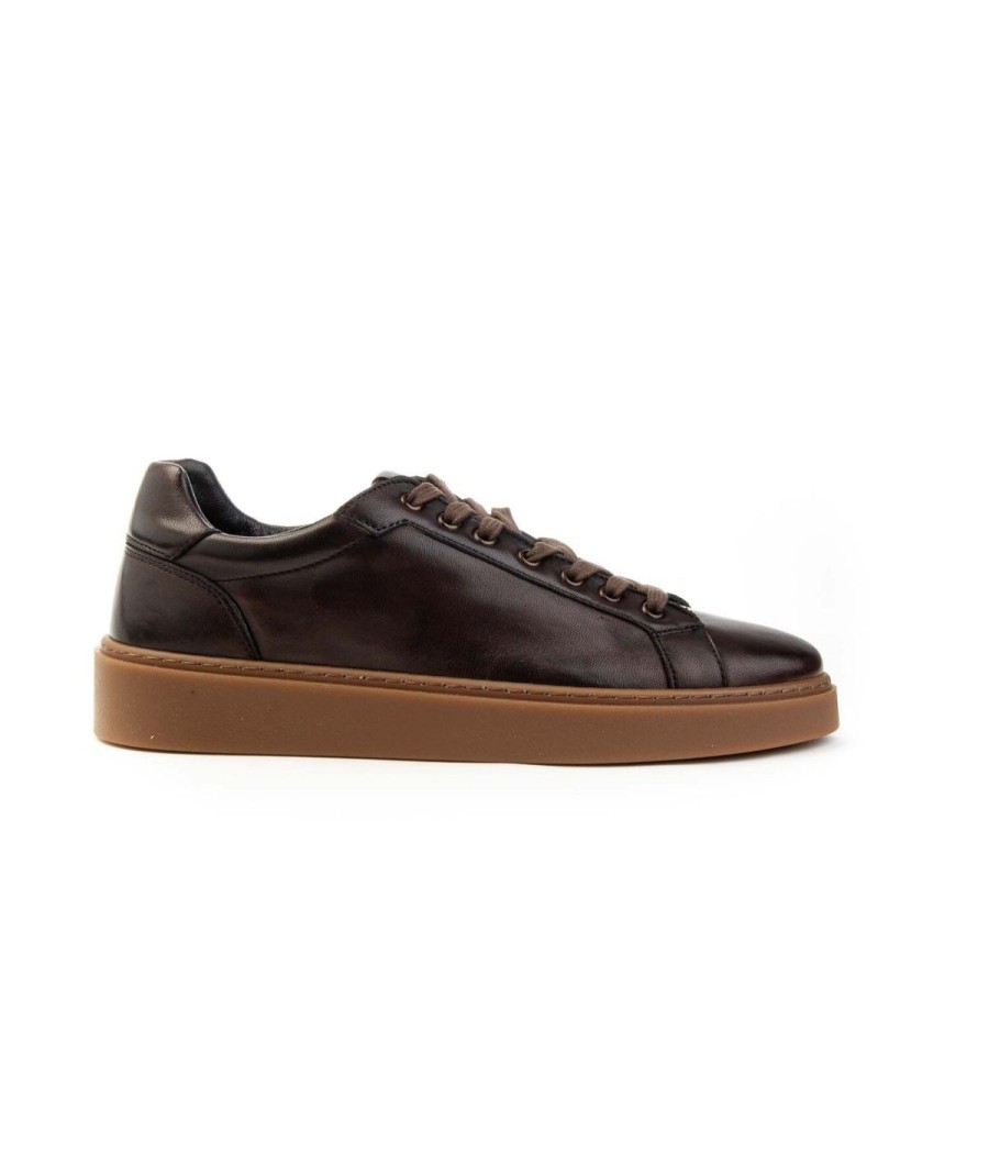 Uomo KEBO | Kebo 1068 Sneakers Lacci Hand Painted Uomo Leone Shoes Frosinone Testa Di Moro